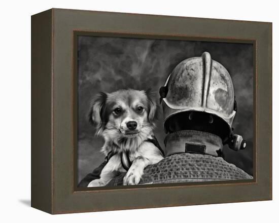 Dog's Best Friend.-Renato J.-Framed Premier Image Canvas