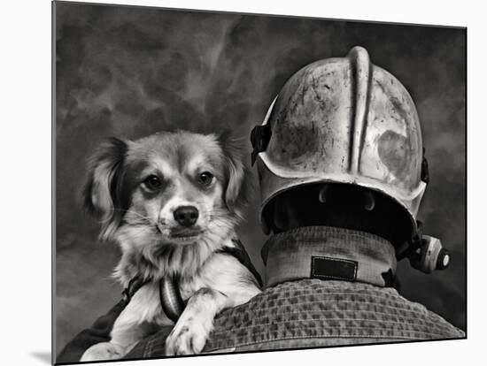 Dog's Best Friend.-Renato J.-Mounted Photographic Print