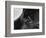 Dog's Eye-Henry Horenstein-Framed Photographic Print