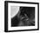 Dog's Eye-Henry Horenstein-Framed Photographic Print