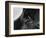 Dog's Eye-Henry Horenstein-Framed Photographic Print