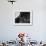 Dog's Eye-Henry Horenstein-Framed Photographic Print displayed on a wall