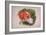 Dog's Head-Louis Wain-Framed Giclee Print