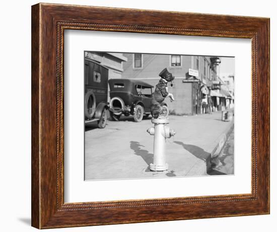 Dog Seated on Fire Hydrant-Bettmann-Framed Photographic Print