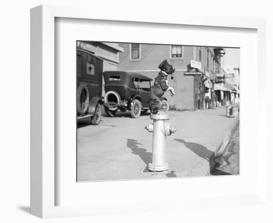 Dog Seated on Fire Hydrant-Bettmann-Framed Photographic Print