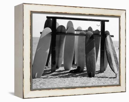 Dog Seeking Shade under Rack of Surfboards at San Onofre State Beach-Allan Grant-Framed Premier Image Canvas