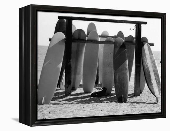 Dog Seeking Shade under Rack of Surfboards at San Onofre State Beach-Allan Grant-Framed Premier Image Canvas