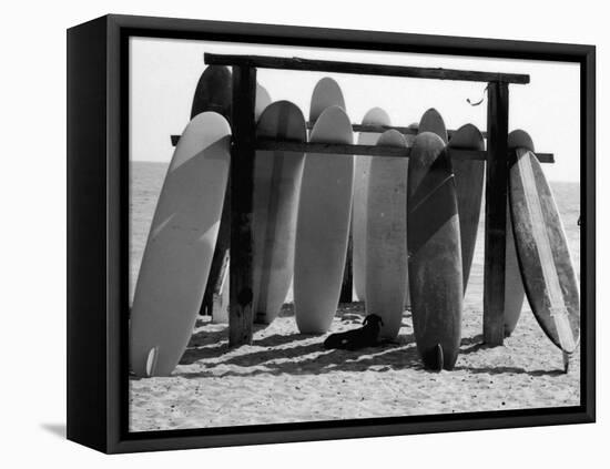 Dog Seeking Shade under Rack of Surfboards at San Onofre State Beach-Allan Grant-Framed Premier Image Canvas