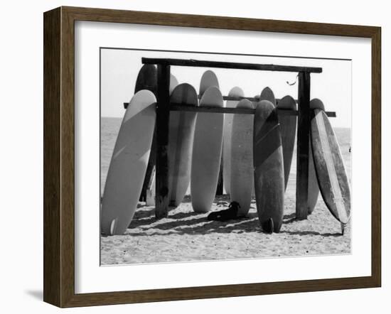 Dog Seeking Shade under Rack of Surfboards at San Onofre State Beach-Allan Grant-Framed Premium Photographic Print