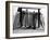 Dog Seeking Shade under Rack of Surfboards at San Onofre State Beach-Allan Grant-Framed Premium Photographic Print