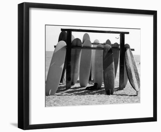 Dog Seeking Shade under Rack of Surfboards at San Onofre State Beach-Allan Grant-Framed Premium Photographic Print