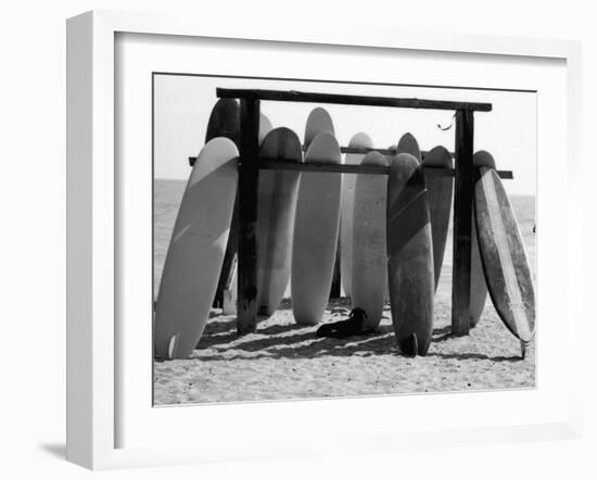 Dog Seeking Shade under Rack of Surfboards at San Onofre State Beach-Allan Grant-Framed Premium Photographic Print