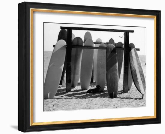 Dog Seeking Shade under Rack of Surfboards at San Onofre State Beach-Allan Grant-Framed Premium Photographic Print