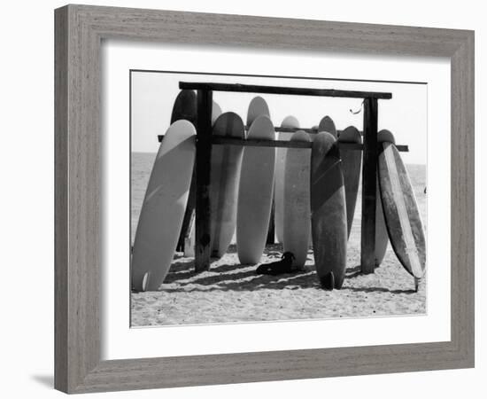 Dog Seeking Shade under Rack of Surfboards at San Onofre State Beach-Allan Grant-Framed Photographic Print