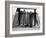 Dog Seeking Shade under Rack of Surfboards at San Onofre State Beach-Allan Grant-Framed Photographic Print