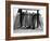 Dog Seeking Shade under Rack of Surfboards at San Onofre State Beach-Allan Grant-Framed Photographic Print