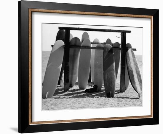 Dog Seeking Shade under Rack of Surfboards at San Onofre State Beach-Allan Grant-Framed Photographic Print