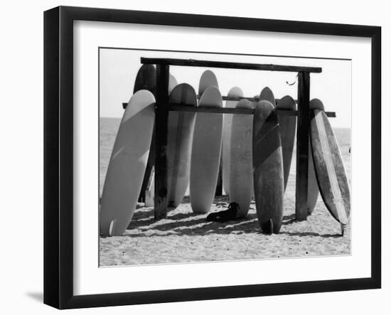 Dog Seeking Shade under Rack of Surfboards at San Onofre State Beach-Allan Grant-Framed Photographic Print