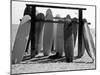 Dog Seeking Shade under Rack of Surfboards at San Onofre State Beach-Allan Grant-Mounted Photographic Print