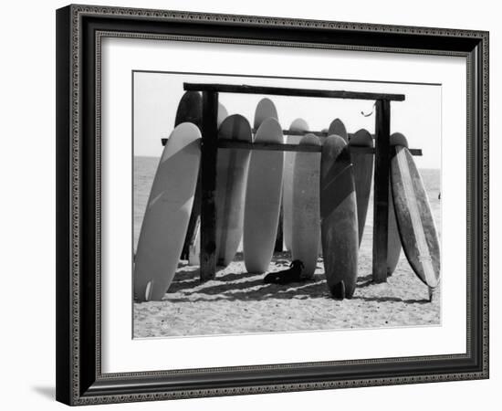 Dog Seeking Shade under Rack of Surfboards at San Onofre State Beach-Allan Grant-Framed Photographic Print