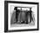 Dog Seeking Shade under Rack of Surfboards at San Onofre State Beach-Allan Grant-Framed Photographic Print