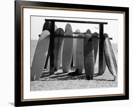 Dog Seeking Shade under Rack of Surfboards at San Onofre State Beach-Allan Grant-Framed Photographic Print