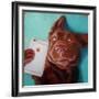 Dog Selfie-Lucia Heffernan-Framed Art Print