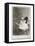 Dog Series #5-J Hovenstine Studios-Framed Premier Image Canvas