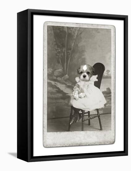 Dog Series #5-J Hovenstine Studios-Framed Premier Image Canvas