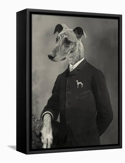 Dog Series #6-J Hovenstine Studios-Framed Premier Image Canvas