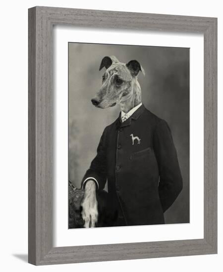 Dog Series #6-J Hovenstine Studios-Framed Giclee Print