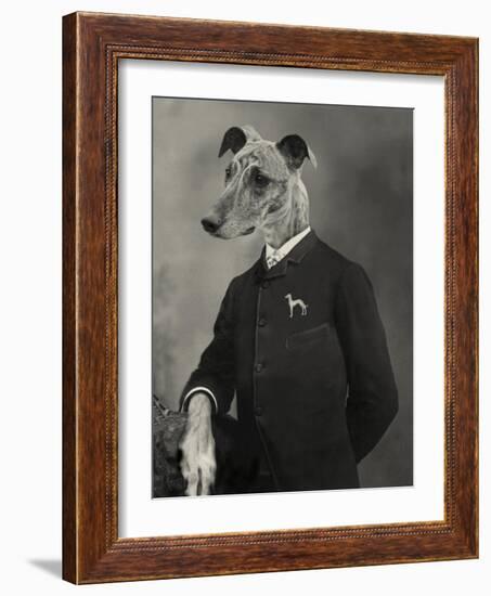 Dog Series #6-J Hovenstine Studios-Framed Giclee Print