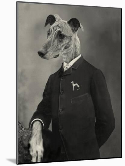 Dog Series #6-J Hovenstine Studios-Mounted Giclee Print