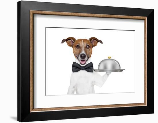 Dog Service Tray-Javier Brosch-Framed Photographic Print