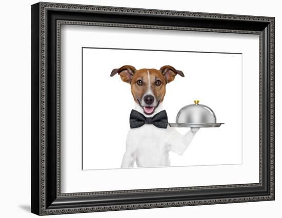 Dog Service Tray-Javier Brosch-Framed Photographic Print