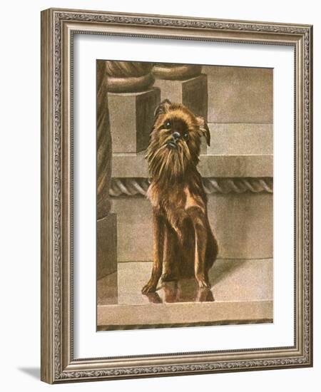 Dog Sitting in Cityscape-Louis Agassiz Fuertes-Framed Art Print