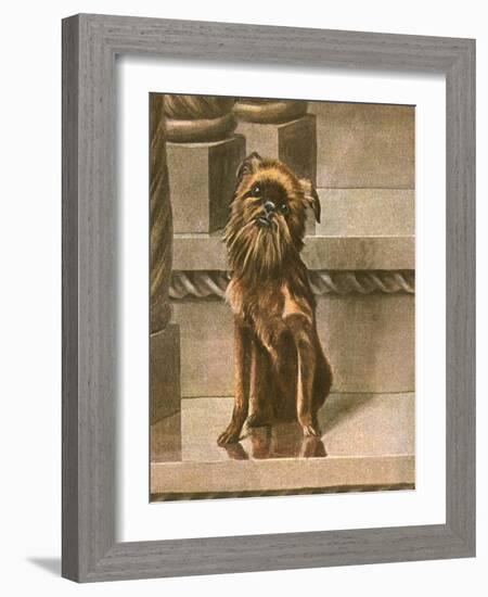 Dog Sitting in Cityscape-Louis Agassiz Fuertes-Framed Art Print