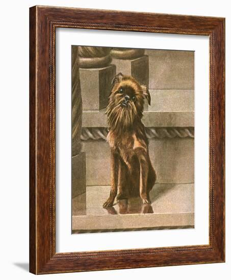 Dog Sitting in Cityscape-Louis Agassiz Fuertes-Framed Art Print