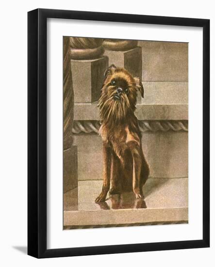 Dog Sitting in Cityscape-Louis Agassiz Fuertes-Framed Art Print