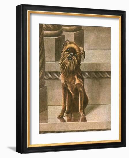 Dog Sitting in Cityscape-Louis Agassiz Fuertes-Framed Art Print