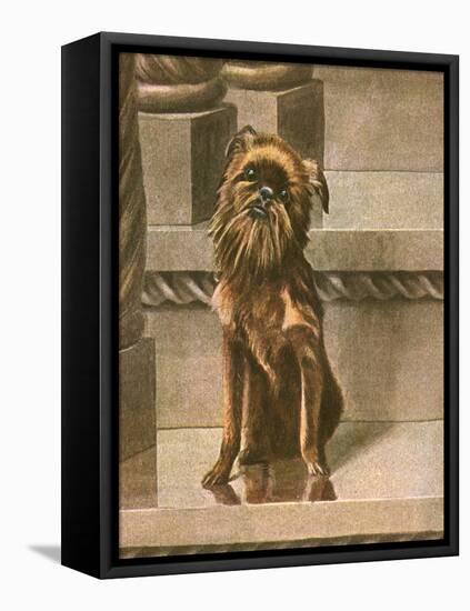 Dog Sitting in Cityscape-Louis Agassiz Fuertes-Framed Stretched Canvas