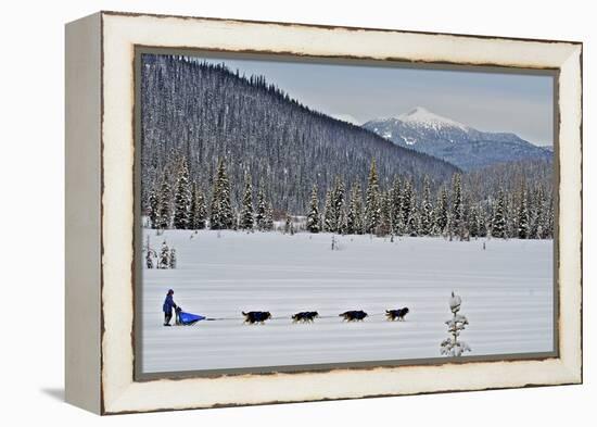 Dog Sled Races are a Popular Winter Passion for Many Mushers in Northern Climates-Richard Wright-Framed Premier Image Canvas