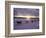 Dog Sled Racing in the Iditarod Sled Race, Alaska, USA-Paul Souders-Framed Photographic Print