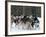 Dog Sledding Team During Snowfall, Continental Divide, Near Dubois, Wyoming, United States of Ameri-Kimberly Walker-Framed Photographic Print