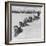 Dog Sledding Team-Nat Farbman-Framed Photographic Print