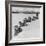 Dog Sledding Team-Nat Farbman-Framed Photographic Print