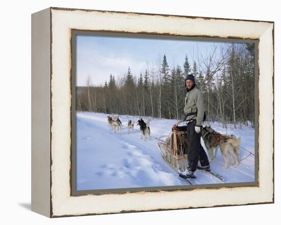 Dog Sledding with Aventure Inukshuk, Quebec, Canada-Alison Wright-Framed Premier Image Canvas
