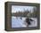 Dog Sledding with Aventure Inukshuk, Quebec, Canada-Alison Wright-Framed Premier Image Canvas