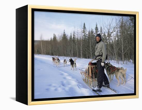 Dog Sledding with Aventure Inukshuk, Quebec, Canada-Alison Wright-Framed Premier Image Canvas