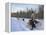 Dog Sledding with Aventure Inukshuk, Quebec, Canada-Alison Wright-Framed Premier Image Canvas